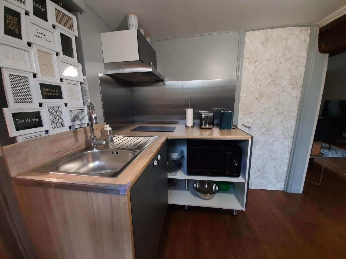 Dans Moulin Au Bord De L'Eau, Appartement Chaleureux Saint-Pryvé-Saint-Mesmin المظهر الخارجي الصورة