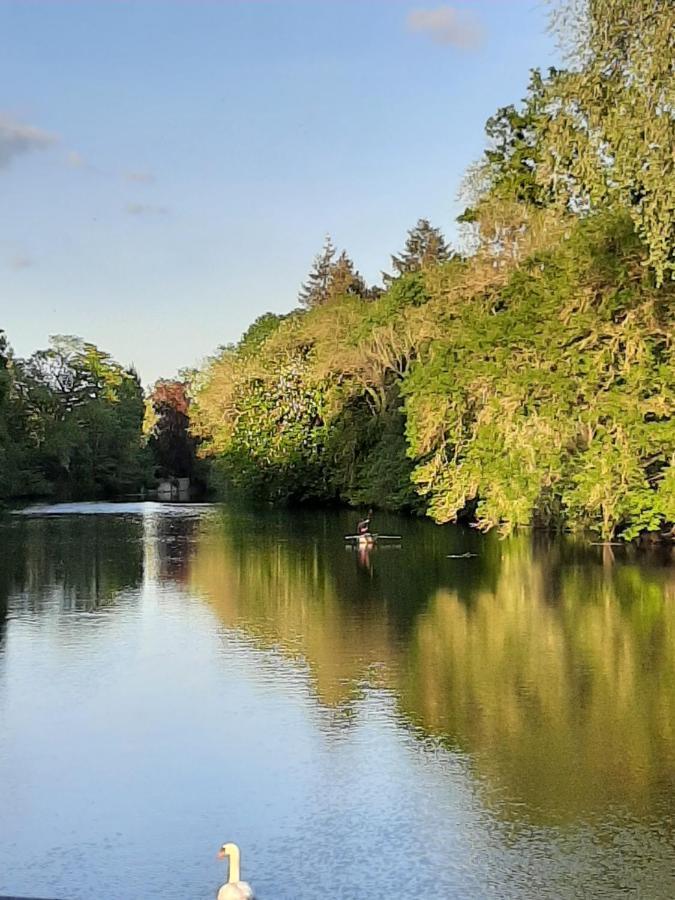 Dans Moulin Au Bord De L'Eau, Appartement Chaleureux Saint-Pryvé-Saint-Mesmin المظهر الخارجي الصورة